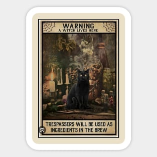 Witches and black cats Sticker